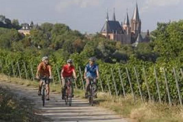 Best Western Wein - und Parkhotel (Nierstein)